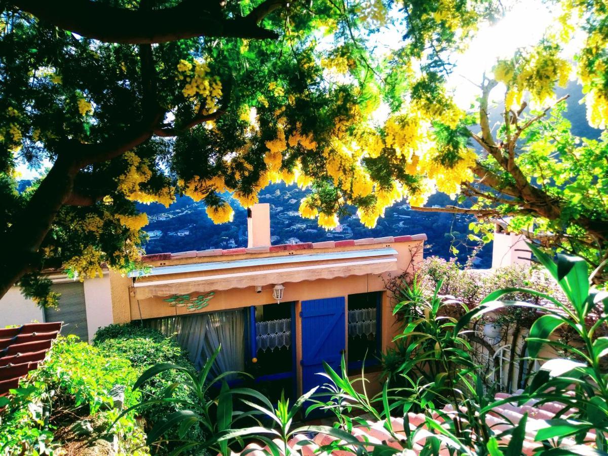 Nouveau ! Chambre D'Hote Insolite Privee " Coeurs De Pirates A Bali En Provence" Spa Sauna Massages Dans Cadre Exotique D'Amenagements Exterieurs D'Exception Ete Comme Hiver Bienvenue !!! Cavalaire-sur-Mer Exterior foto