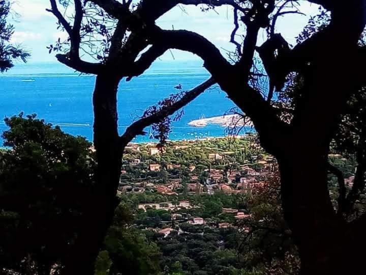 Nouveau ! Chambre D'Hote Insolite Privee " Coeurs De Pirates A Bali En Provence" Spa Sauna Massages Dans Cadre Exotique D'Amenagements Exterieurs D'Exception Ete Comme Hiver Bienvenue !!! Cavalaire-sur-Mer Exterior foto